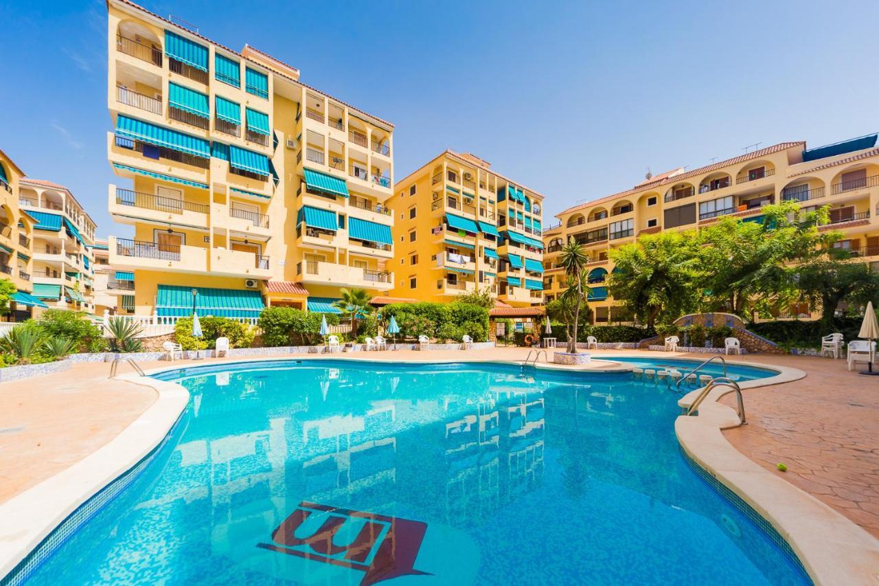 Apartamento Alegria Id36 La Mata  Extérieur photo
