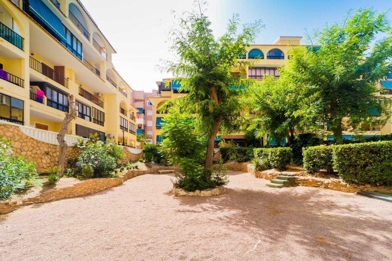 Apartamento Alegria Id36 La Mata  Extérieur photo
